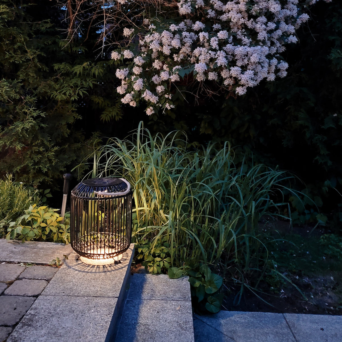 BAZZ Smart Solar Outdoor Patio Garden LED Light 11x 15 In Black