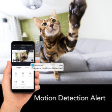 Load image into Gallery viewer, Smart WiFi HD 1080p Motorized Camera - BAZZ Smart Home.ca